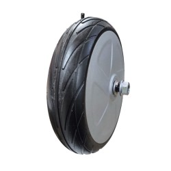 Motor para trotinete Ninebot ES1, ES2, ES3, ES4 ou semelhante Segway - Ninebot - 3 Compatível com trotinetes Ninebot ES1, ES2, E