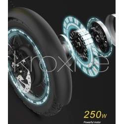 zBike - bici elettrica 250w - 30 a 50 km di autonomia  - 12 zBike - bici elettrica 250w - 30 a 50 km di autonomia
Prenota la tua