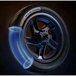 Komplet forfælg med bremseskive til Segway F2, F2 Plus, F2 Pro eller lignende - 10x2,5 tommer Segway - Ninebot - 6 Komplet forfæ